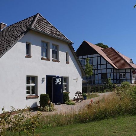 Feriendorf Alte Schmiede Mellenthin Kültér fotó